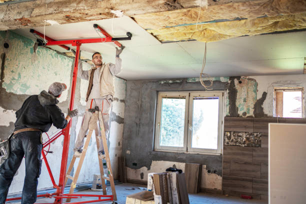 Best Insulation Removal  in Lakeview, GA