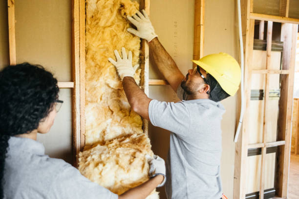Best Insulation Replacement Services  in Lakeview, GA