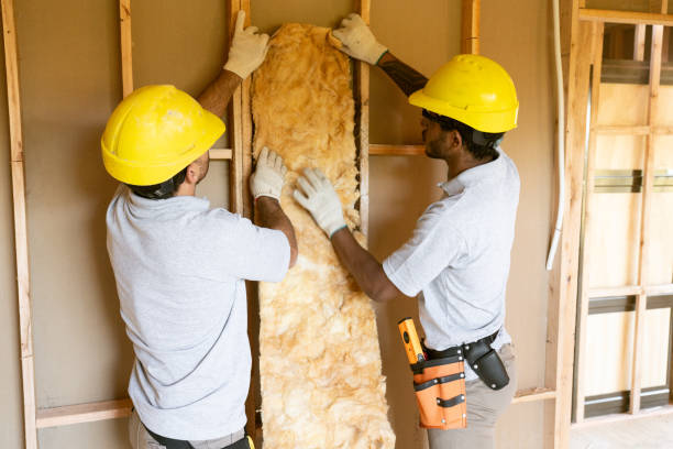 Best Professional Insulation Contractor  in Lakeview, GA