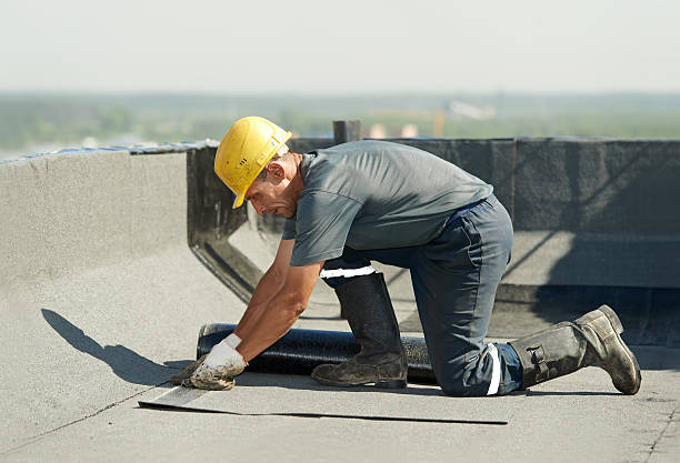 Best Energy-efficient Insulation  in Lakeview, GA